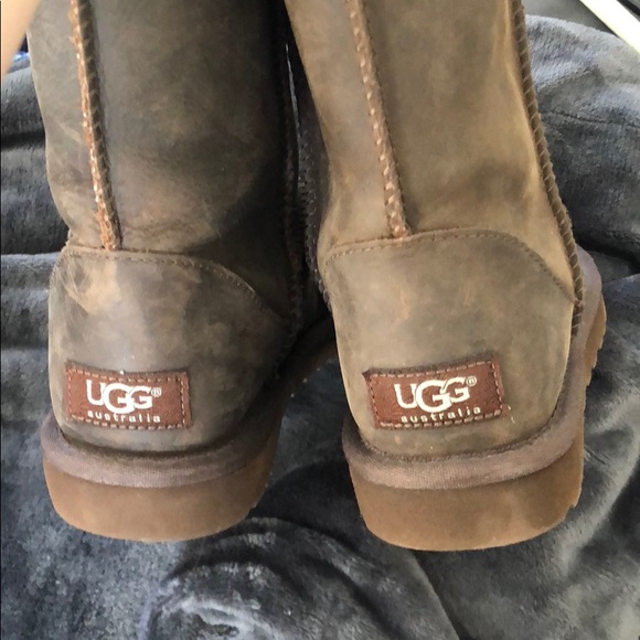Brown UGGs - brand new - Picture 2 of 7